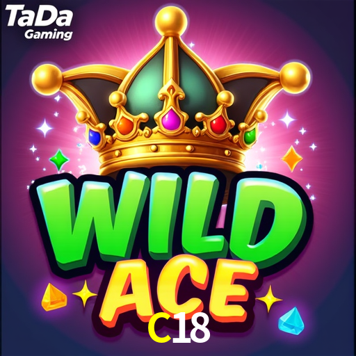 Premium Interface C18